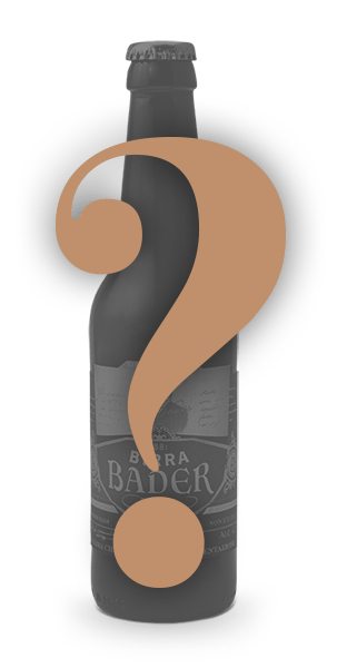 BADER33_interr_2